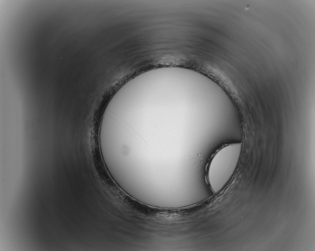 X0000096210354200801181014