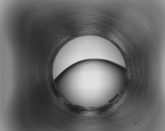 X0000096210356200801181014
