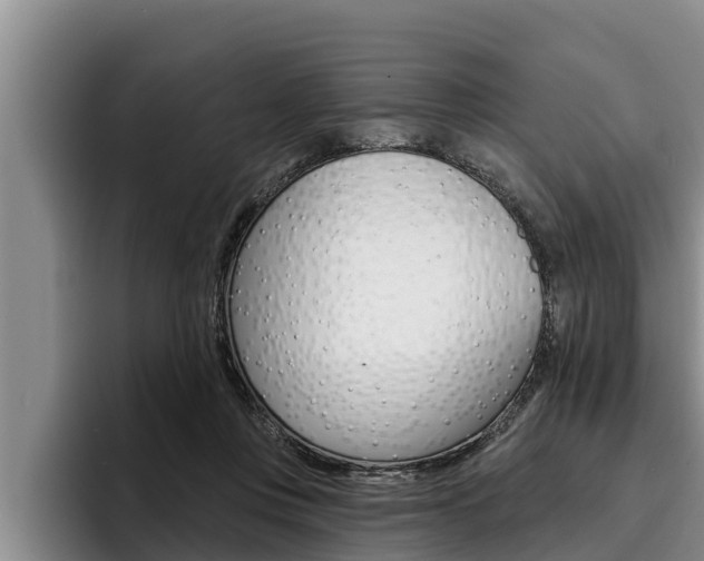 X0000096210359200801181014