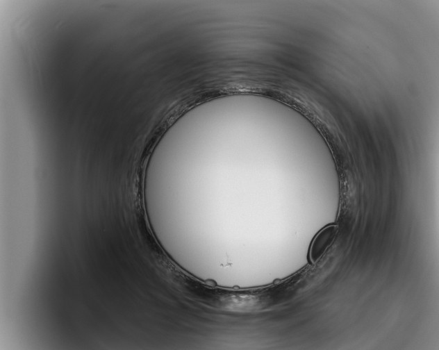 X0000096210361200801181014