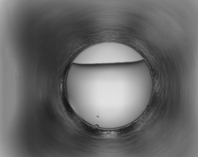 X0000096210363200801181014