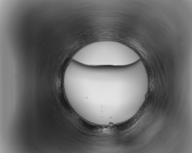 X0000096210365200801181014