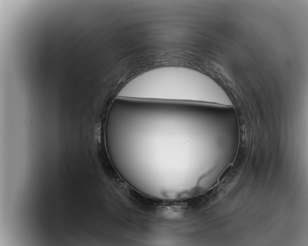 X0000096210368200801181014
