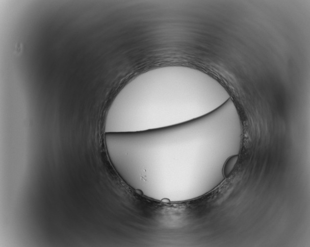 X0000096210369200801181014