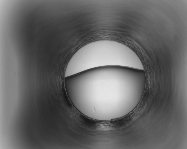 X0000096210372200801181014
