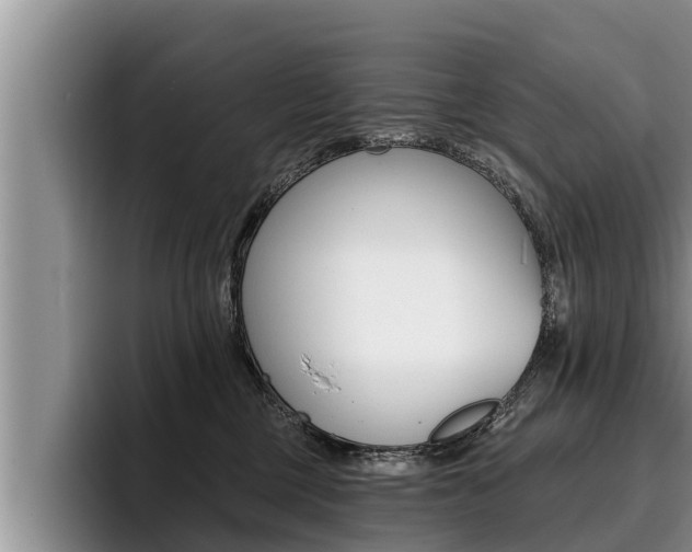X0000096210377200801181014