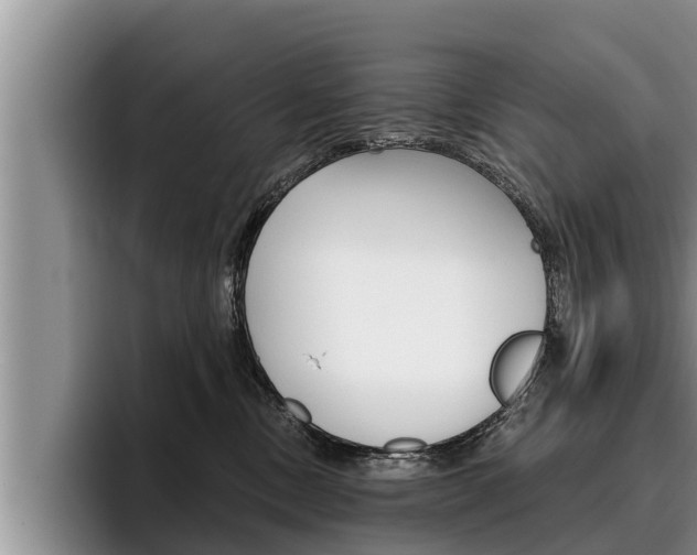 X0000096210378200801181014
