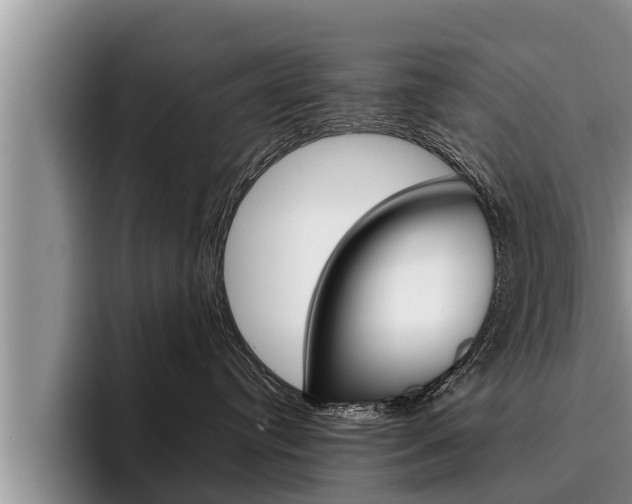 X0000096210384200801181014
