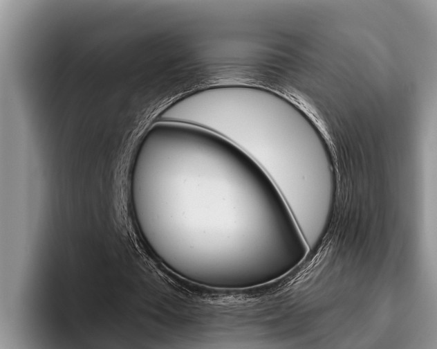 X0000096210385200801181014