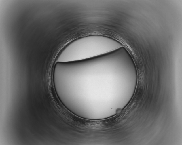 X0000096210386200801181014