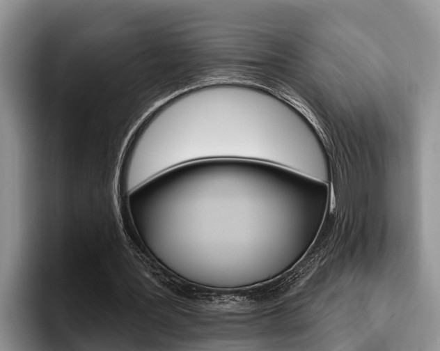 X0000096210387200801181014
