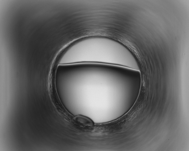 X0000096210388200801181014