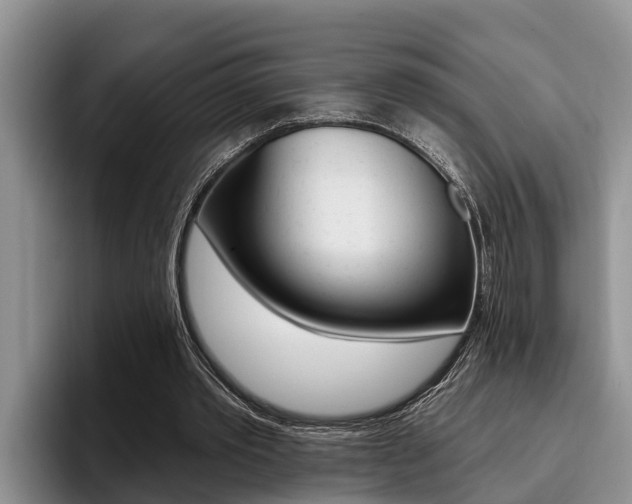 X0000096210389200801181014