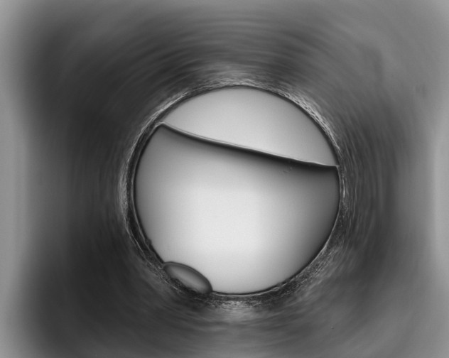 X0000096210390200801181014