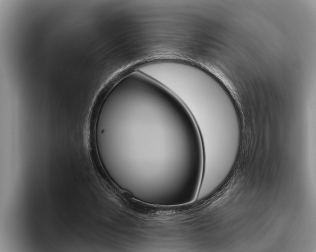 X0000096210391200801181013