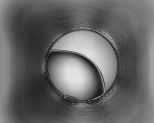 X0000096210393200801181013