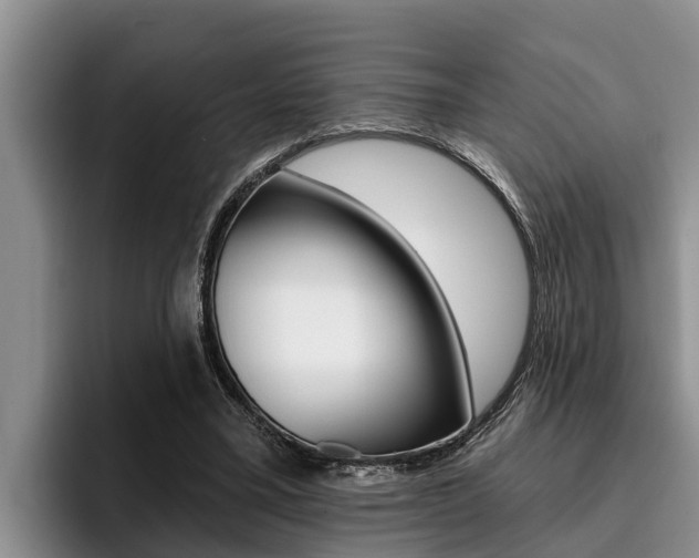 X0000096210395200801181013