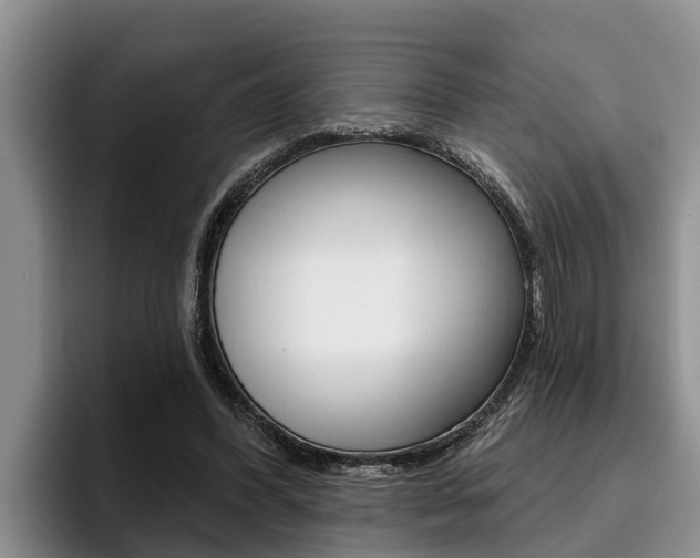 X0000096210396200801181013