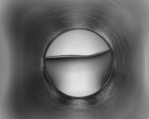 X0000096210397200801181013