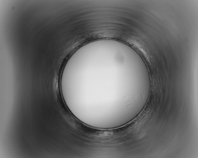 X0000096210398200801181013