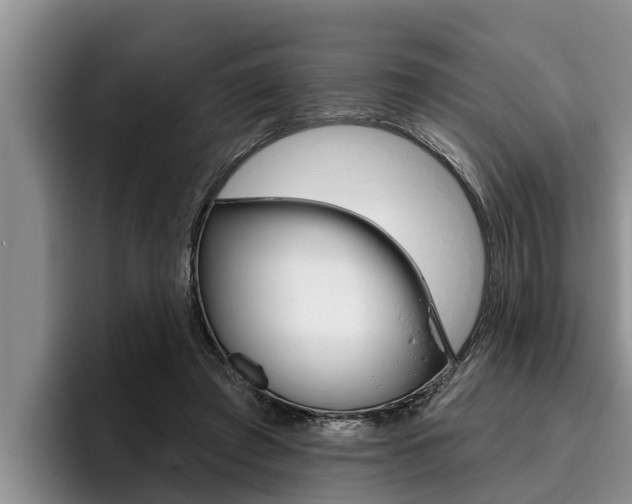 X0000096210401200801181013