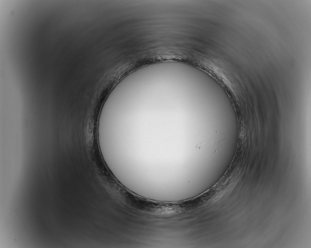 X0000096210402200801181013