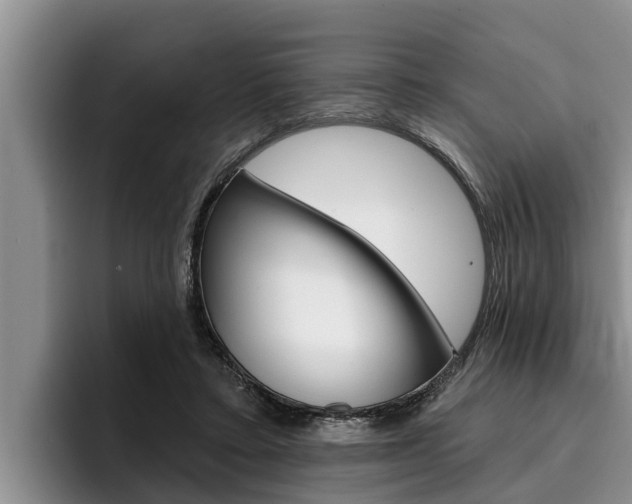 X0000096210403200801181013