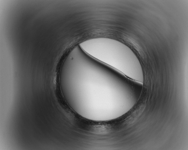 X0000096210404200801181013