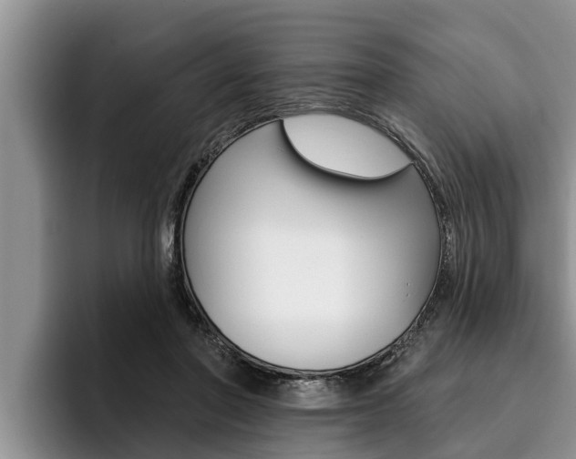 X0000096210406200801181013