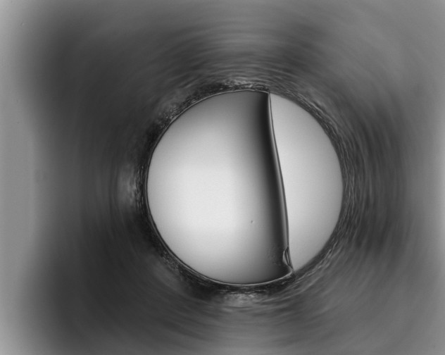 X0000096210408200801181013