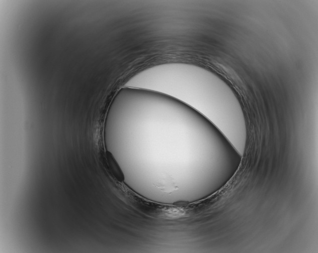 X0000096210409200801181013