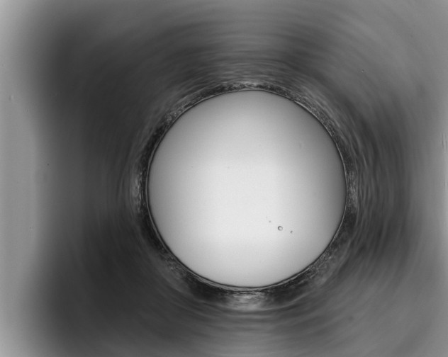 X0000096210410200801181013