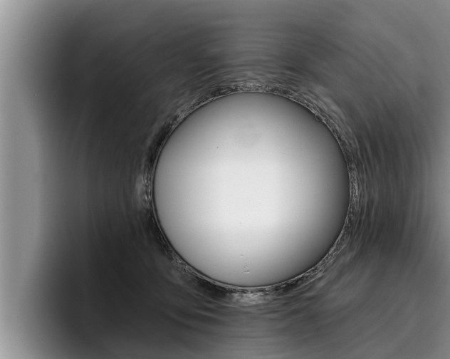 X0000096210419200801181013
