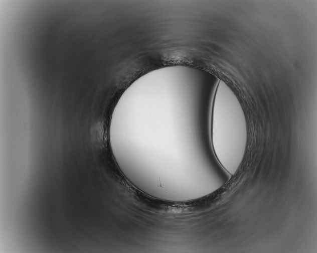 X0000096210420200801181013