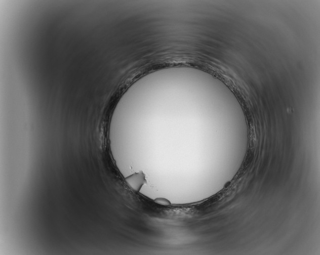 X0000096210422200801181013