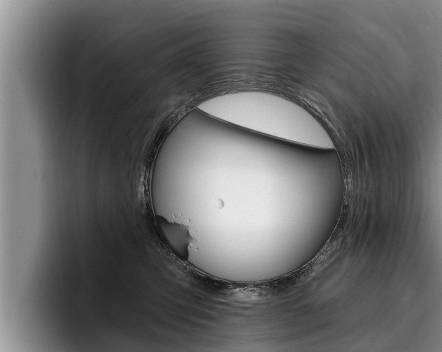 X0000096210423200801181013