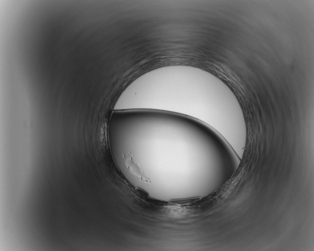 X0000096210425200801181013