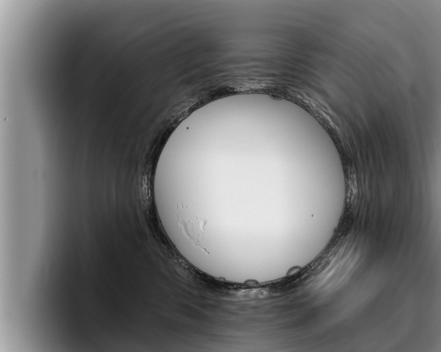X0000096210426200801181013