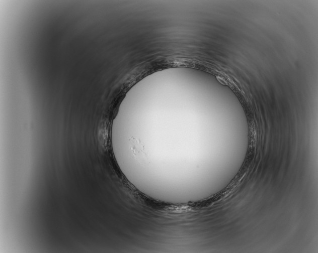 X0000096210427200801181013