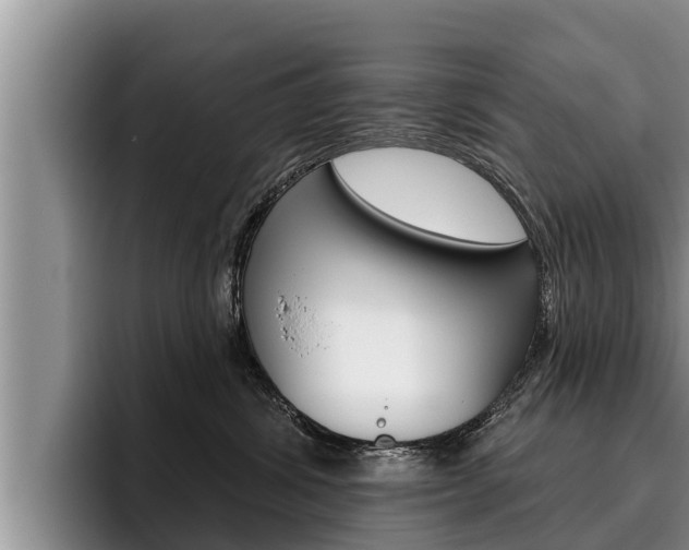 X0000096210428200801181013