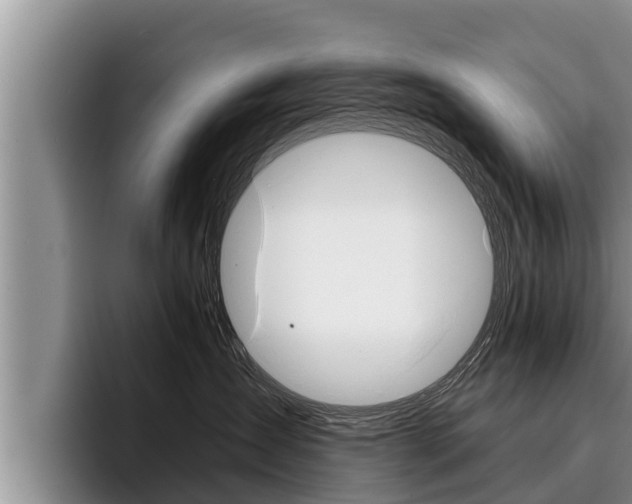 X0000096210431200801181013
