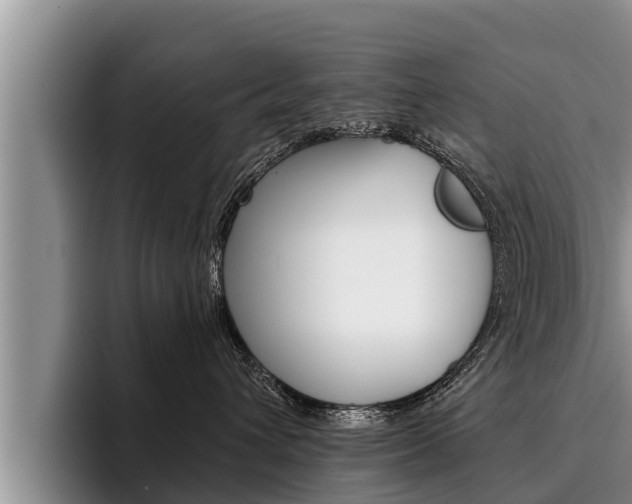 X0000096210432200801181013