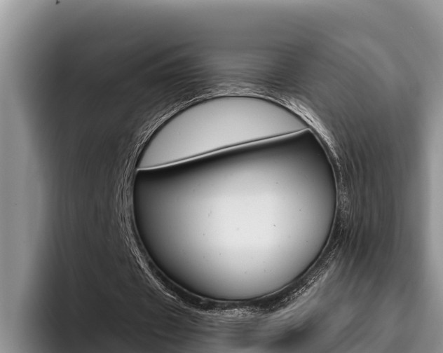 X0000096210433200801181012