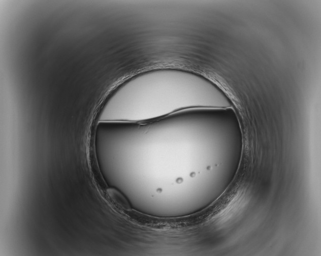 X0000096210434200801181012