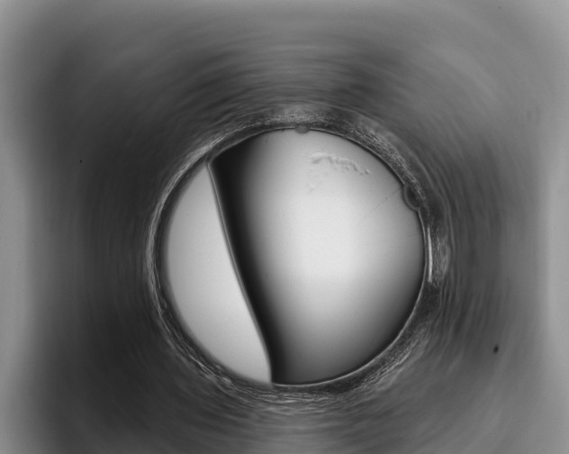 X0000096210435200801181012