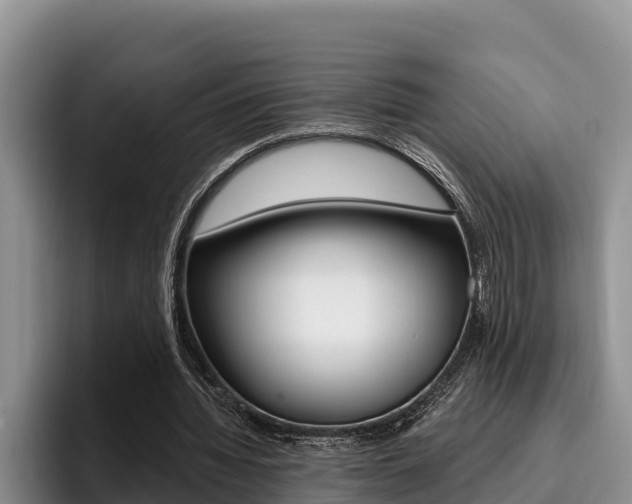X0000096210436200801181012
