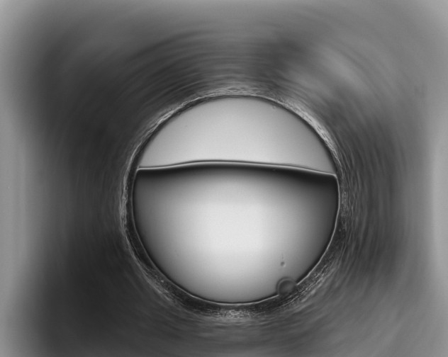 X0000096210437200801181012