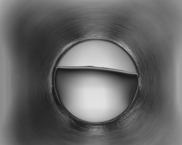 X0000096210438200801181012