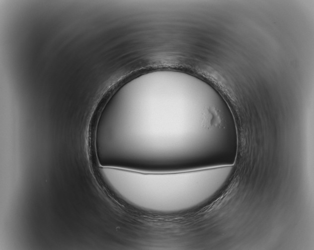 X0000096210439200801181012