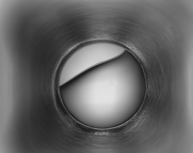 X0000096210440200801181012